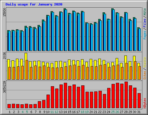 Daily usage for January 2020