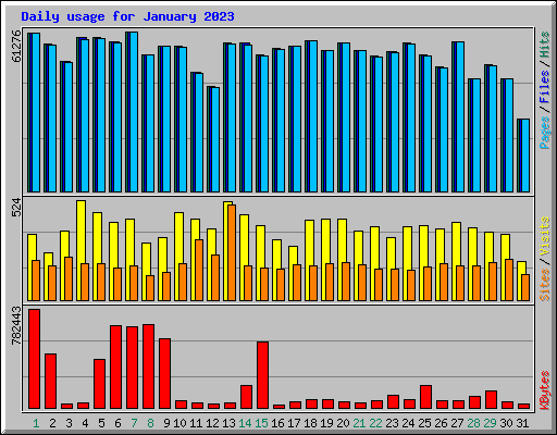 Daily usage for January 2023