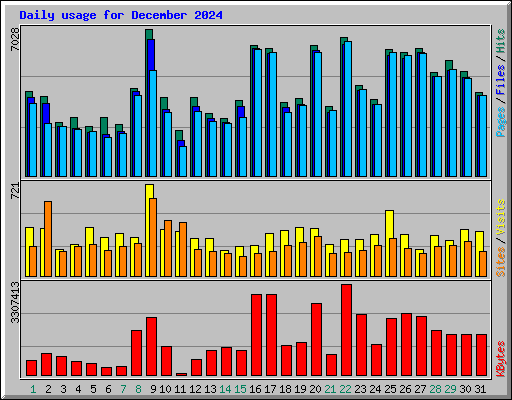 Daily usage for December 2024