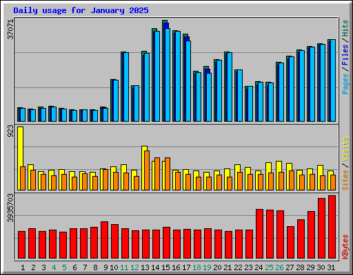 Daily usage for January 2025