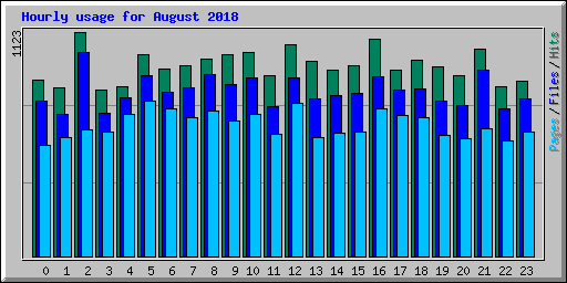 Hourly usage for August 2018