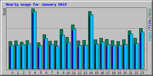 Hourly usage for January 2019