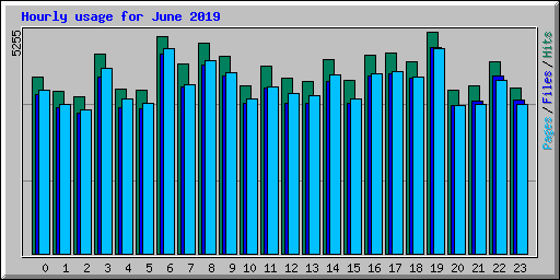 Hourly usage for June 2019