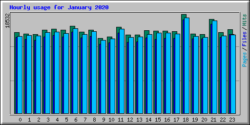 Hourly usage for January 2020