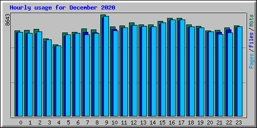 Hourly usage for December 2020