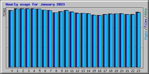 Hourly usage for January 2023