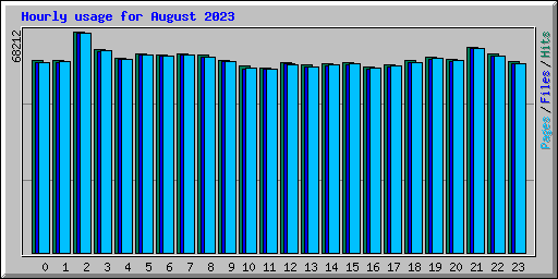 Hourly usage for August 2023