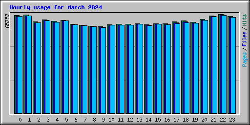 Hourly usage for March 2024