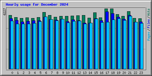 Hourly usage for December 2024