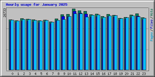 Hourly usage for January 2025
