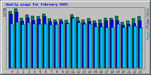 Hourly usage for February 2025