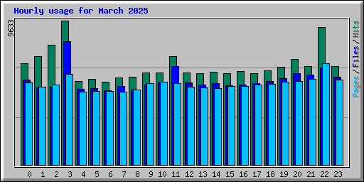 Hourly usage for March 2025