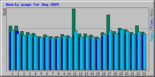 Hourly usage for May 2025
