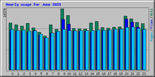 Hourly usage for June 2025