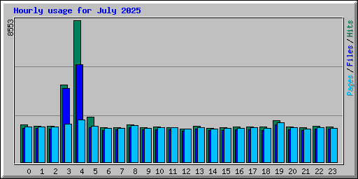 Hourly usage for July 2025