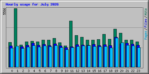 Hourly usage for July 2026